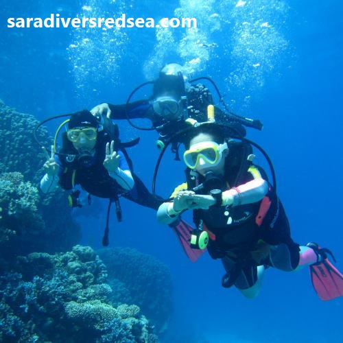 Dive Master Kurs