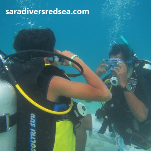 scubadiverkurs