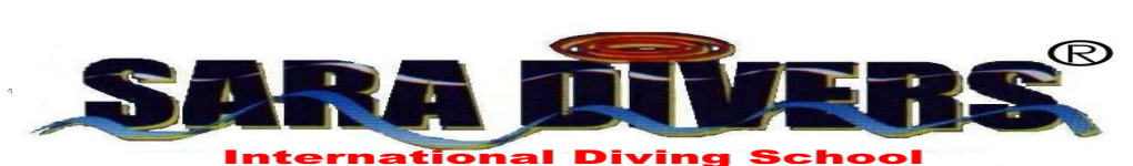 Go Dive Red Sea with SARA DIVERS