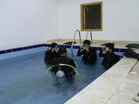 Hurghada sara divers 